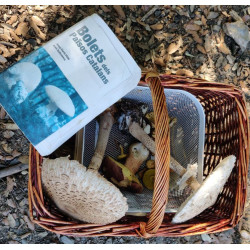 La Garrotxa, Samstag, 25. Oktober, 10:00 am – 2:00 pm