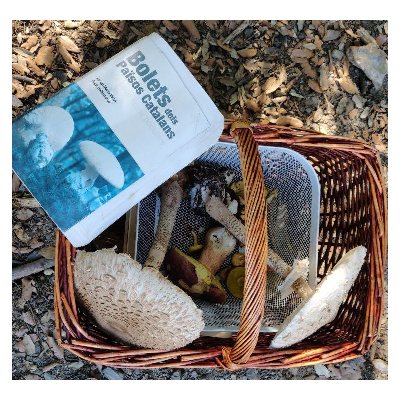 la-garrotxa-saturday-october-25-10-00-am-2-00-pm