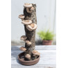 Tronco Productor de Shiitake | Cultiva Shiitake Fresco en Casa