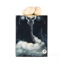 Kit de cultivo de Melena de León - Hericium erinaceus