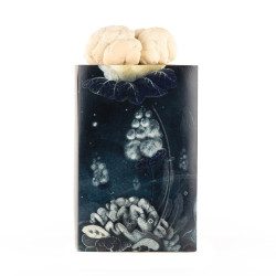 Lion's Mane Grow kit - Hericium erinaceus