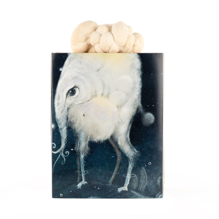 Igel-Stachelbart Pilzzuchtset - Hericium erinaceus