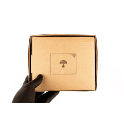 Lion's Mane Grow kit - Hericium erinaceus