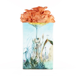 Pink Oyster Grow Kit – Pleurotus djamor