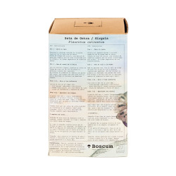 Kit de cultiu de Gírgola - Pleurotus ostreatus