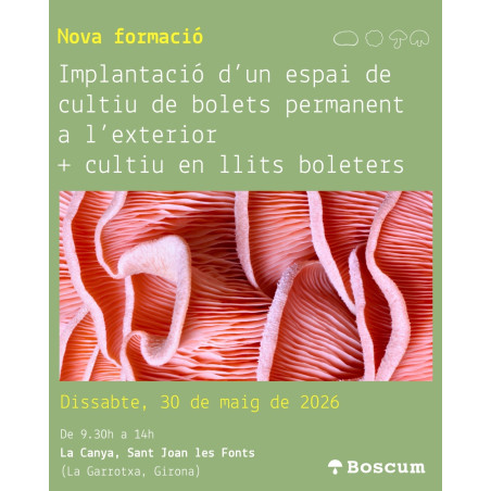 TALLER: Implantación de espacio de cultivo de setas permanente en exterior + cultivo en cama de setas