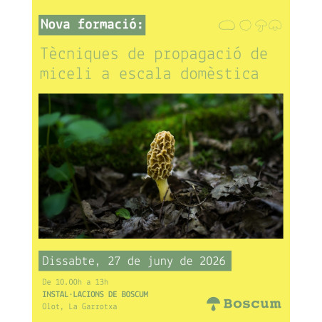 FORMACIÓN: TÉCNICAS DE PROPAGACIÓN DE MICELIO A ESCALA DOMÉSTICA