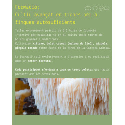 Taller avançat de cultiu de bolets en troncs Boscum