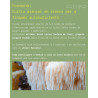 Taller avançat de cultiu de bolets en troncs Boscum