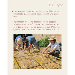 TALLER: Implantación de un espacio de cultivo de setas permanente al exterior