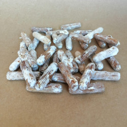 Clàvies inoculants ecològiques de Bolet carner (Hericium)