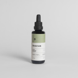Sinergia-Extrakt – Energie, Verdauung & Immunsystem