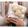 Kit de cultiu d'Hericium (Pelutxo) - Hericium erinaceus