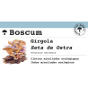 Chevilles mycélisées biologiques de Pleurote en huître