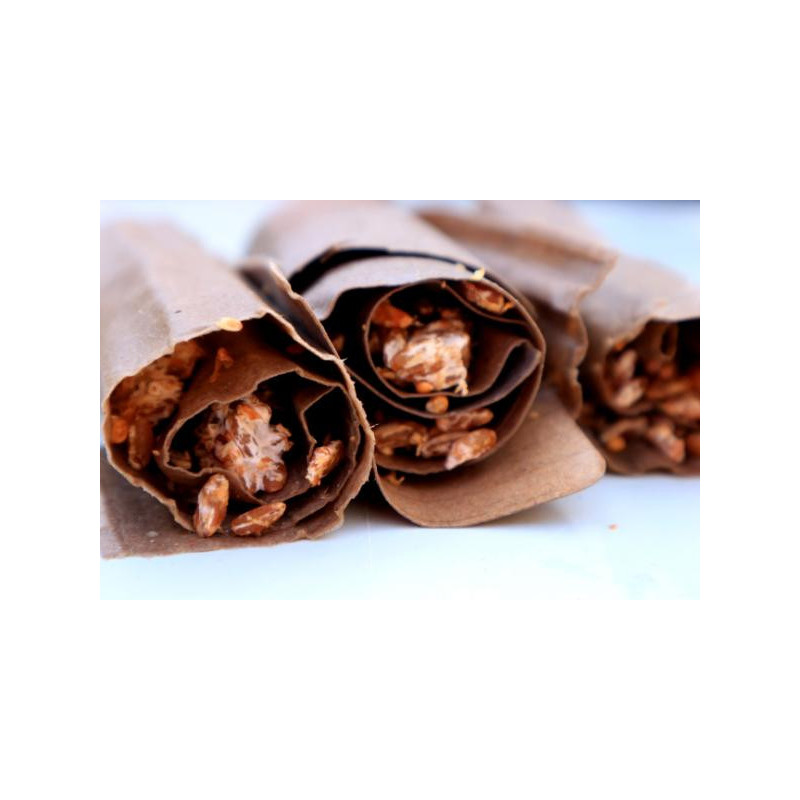 Edible mushroom cultivation on recycled materials