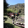 Family Mushroom Workshop – Spores, Art & Cultivation